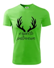 Harry - Expecto patronum