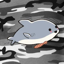 Veselý žralok Veselý žralok