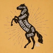 Horse mustang Horse mustang