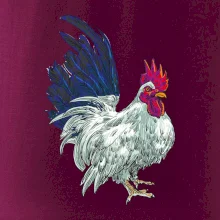 Kohút kreslený biely