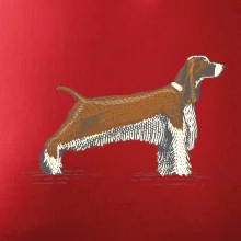 Vintage Springer spaniel