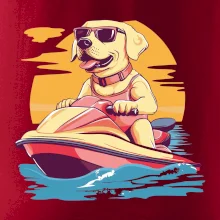 Zlatý retriever na vodnom skútri