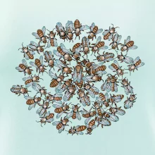 Včelia rodinka kruh (Pecka Design)