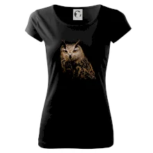 Sova fotka Sova fotka