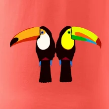 Dva barevní tukani (Moňas)