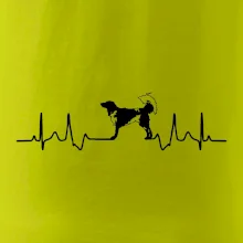 Český strakatý pes EKG