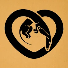 Jazvečík srdca - plný