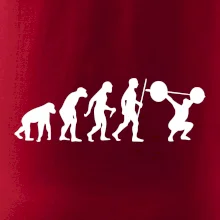 Evolution fitness