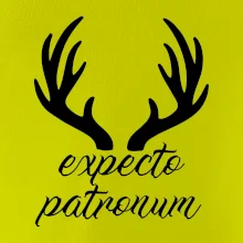 Harry - Expecto patronum Harry - Expecto patronum