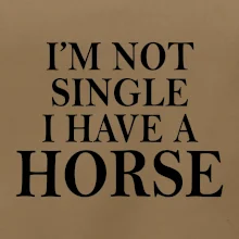 I have a horse