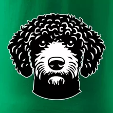 Lagotto romagnolo hlava na prsníku