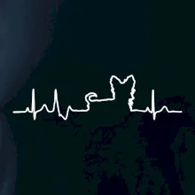 Yorkshirský teriér EKG