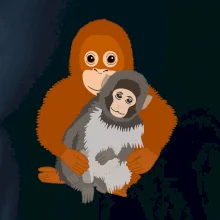 Opica Punch makak (Moňas)