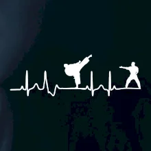 Karate EKG Karate EKG