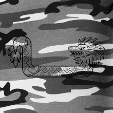 Mayovia - zvieratá drak