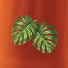 Monstera - dva listy