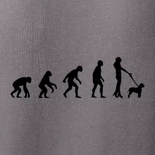 Lagotto romagnolo Evolúcia