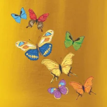 Farebné motýle Farebné motýle
