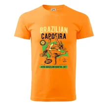Brazilian Capoeira