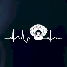 Lagotto romagnolo hlava EKG