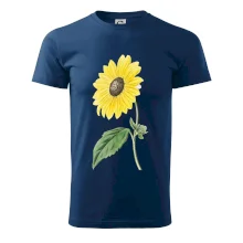 Slnečnica otočená