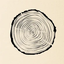 Letokruhy 25 bez veku