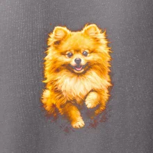 Obrázok poltón Pomoranský špic