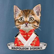 Napoleon domáci mačka
