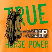 True Horse Power 1 HP True Horse Power 1 HP