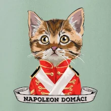 Napoleon domáci mačka