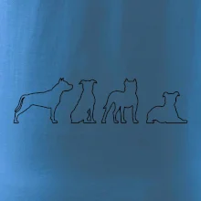 Americký stafordšírsky teriér v rôznych pozíciách