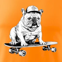 Čiernobiely buldog na skateboarde
