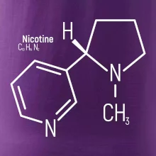 Molekulárna štruktúra Nikotín