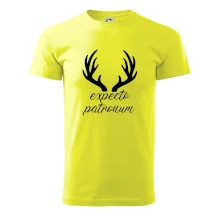 Harry - Expecto patronum