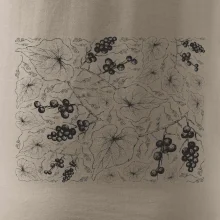 Listy viniča tapeta