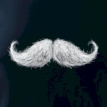 Mustache fúzy kreslené