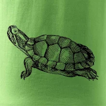 Ceruzkou kreslená korytnačka