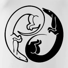 Jazvečíky - Jin jang Jazvečíky - Jin jang