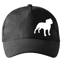 Americký stafordšírsky teriér Na prsníku