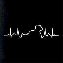 Stafordšírsky bulteriér ‎ EKG