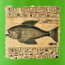 Egyptské hieroglyfy ryba
