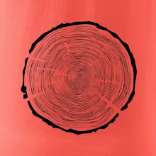 Letokruhy 100 bez veku