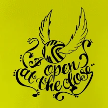 Harry - Zlatá strela