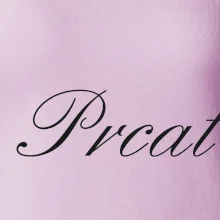 Prcat (súložiť vulgárne) Prcat (súložiť vulgárne)