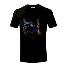 Duhová kočka vo tme