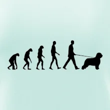 Evolúcia pes Briard