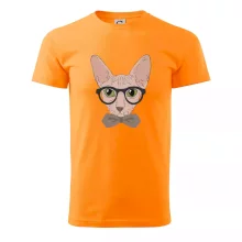 Hipster sphynx Hipster sphynx