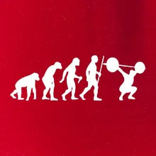 Evolution fitness