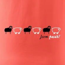 Som pasák - ovce v rade