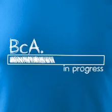 In progress titul BcA. bakalár / bakalárka umenia